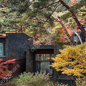 (연휴) 6/6,7일 리솜제천 포레스트,레스트리G40,S30 가실 분~