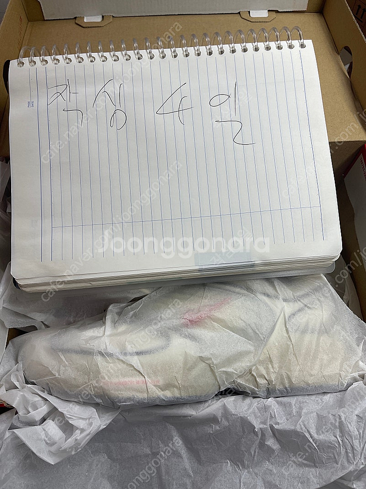 나이키 페가수스 260--0