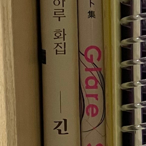 귀멸의 칼날, 최애의 아이 일러스트집