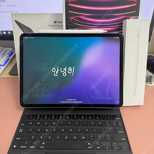 아이패드 프로 4세대 m2 11인치 512기가 셀룰러+매키+애펜