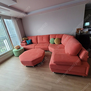 햇세드 플로리아(코랄)