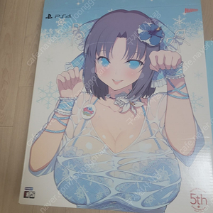 팩
