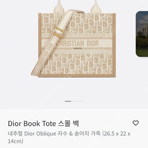 디올 북토트 뉴 스몰
