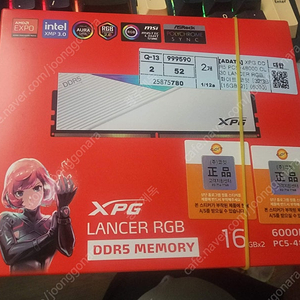 ADATA XPG DDR5-6000 CL34 LANCER RGB 화이트 패키지 코잇 (32GB(16Gx2))