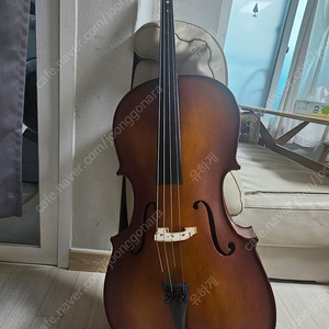 정현250 첼로 3/4