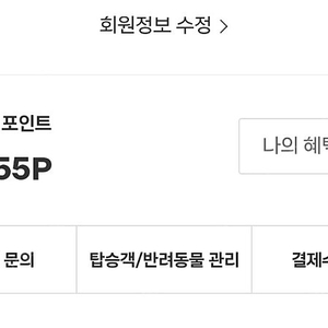 제주항공 포인트 판매
