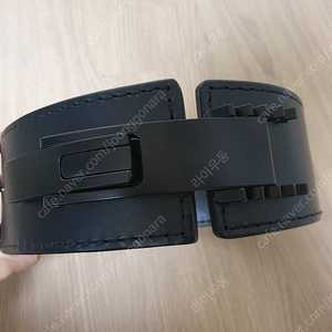 파이오니어벨트 pal v1 xs