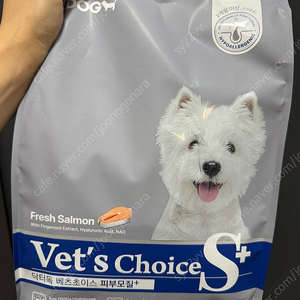 닥터독 베츠초이스(알러지사료) 1kg