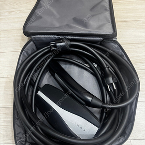 테슬라 모바일충전기 220v
