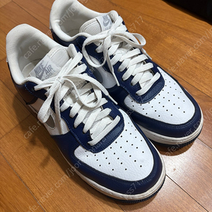 나이키 에어포스1 네이비 270