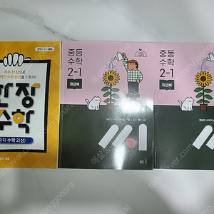 중등 수학 2-1 문제집 2권(한장수학/ 씨)