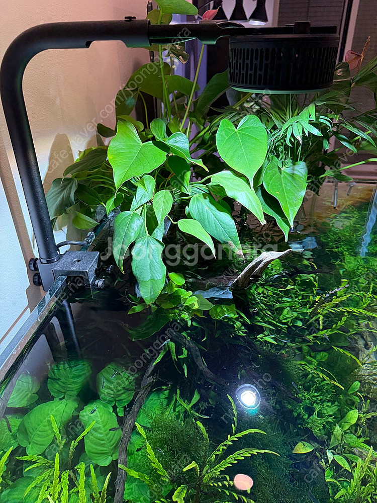 900*600*600 어항,받침대,조명 여과기등 일괄판...--1