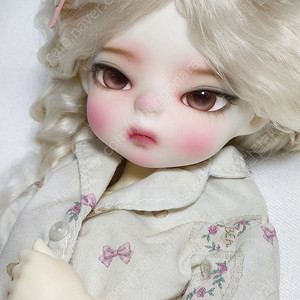 수이돌 드로우지 소루 BJD USD