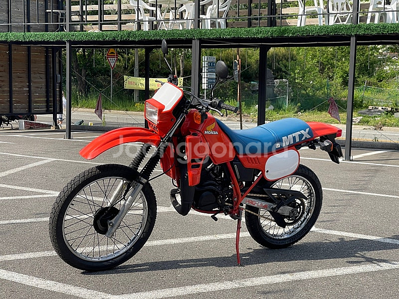[동탄] 1980's 혼다 MTX125R--2