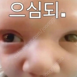 자이언트 프로펠 어드밴스2 21년식 무하자급
