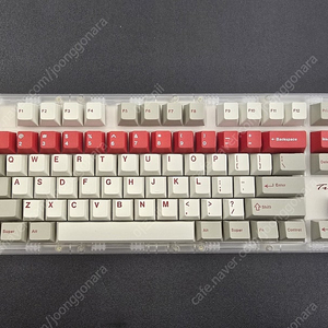 SW Transition lite 투명
