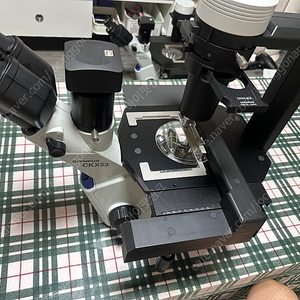 CKX53 OLYMPUS 올림푸스 현미경