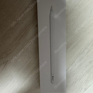 Apple 애플펜슬 USB-C MUWA3KH/A 미개봉 새상품