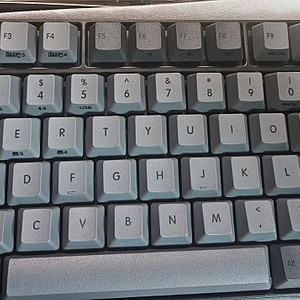 리얼포스 rc1 블랙 영문 45g