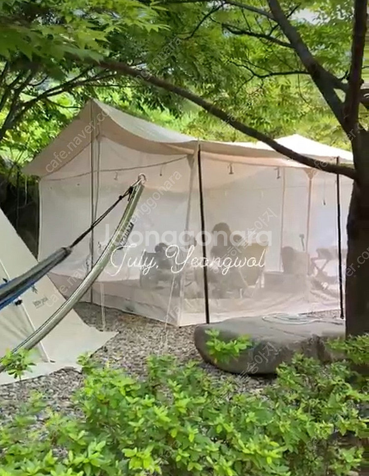 카리20+메쉬스크린 판매 합니다 상태 최상--0