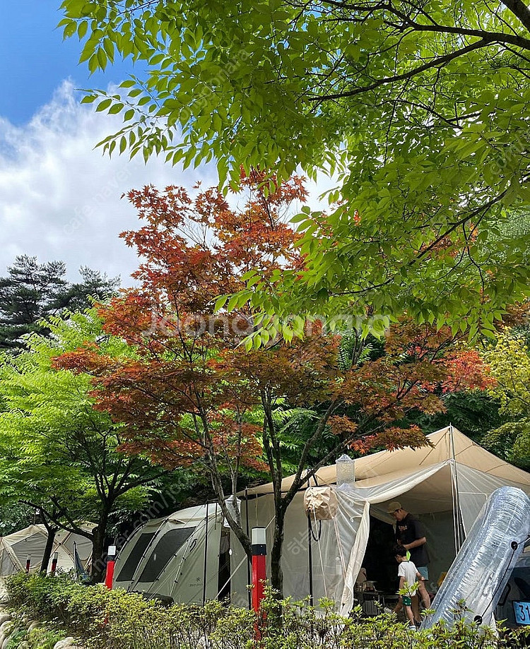 카리20+메쉬스크린 판매 합니다 상태 최상--2