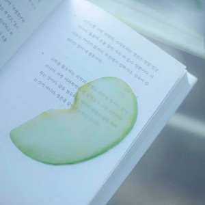 이옥토 풋사과 청사과 책갈피