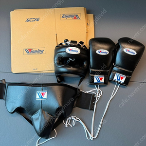 [복싱] 위닝 풀셋 16 온스 글러브, 코보호 헤드기어, 낭심보호대 - Winning 16 oz (MS600), FG5000, CPS500