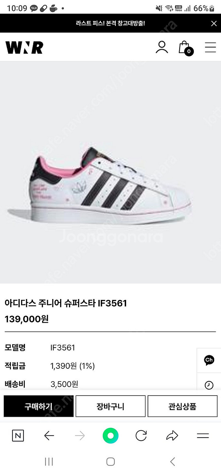 아디다스 주니어 슈퍼스타 IF3561--0
