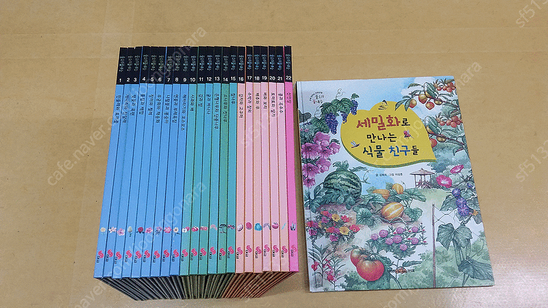 호야토야의 옛날이야기 두번째, 풀소리 꽃내음