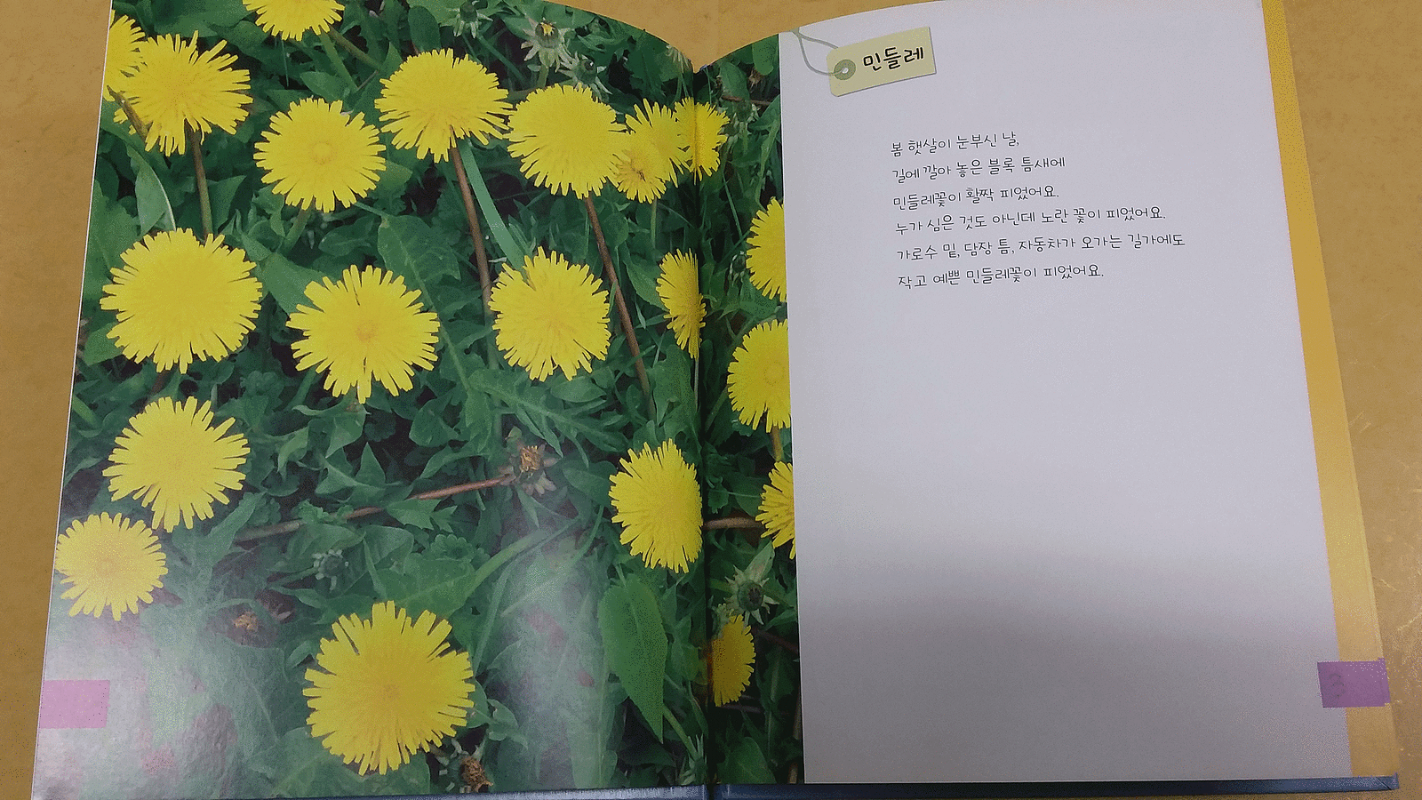 호야토야의 옛날이야기 두번째, 풀소리 꽃내음--4