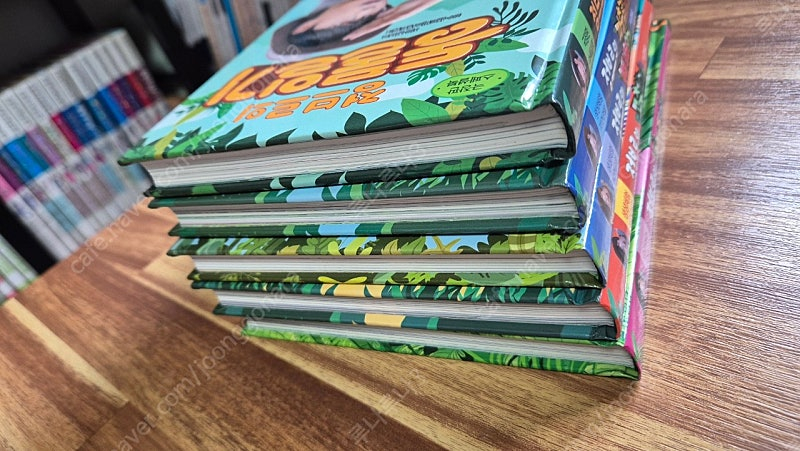 정브르 일기 시리즈 5권--1