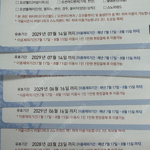 로블 워터파크 이용권 2매 (4인 이용) - 9.5만원
