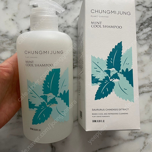 청미정 민트 쿨 샴푸 500ml 새상품
