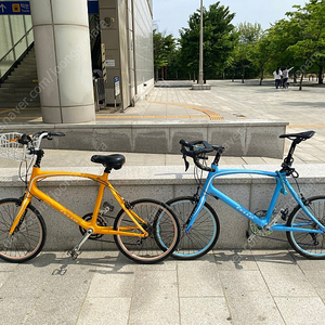 첼로 메리디안/메르디안 블루,망고 팝니다.
