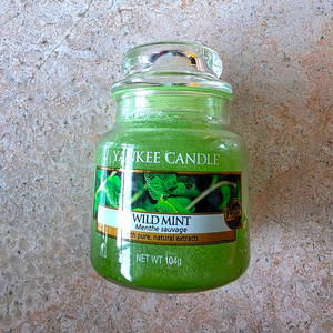 양키캔들 104g 와일드민트 wild mint 새제품 Yankee candle 향초 아로마향기 아로마오일