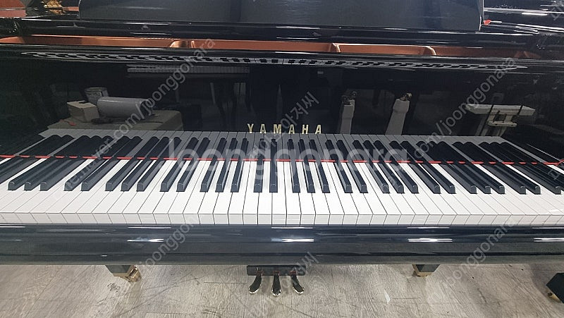 (초특가)2022년제품야마하베이비그랜드피아노 GC-1--3