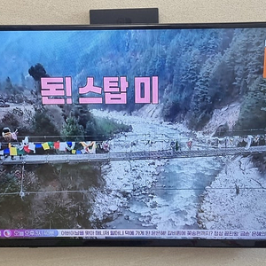 (울산) 노브랜드 43인치 TV