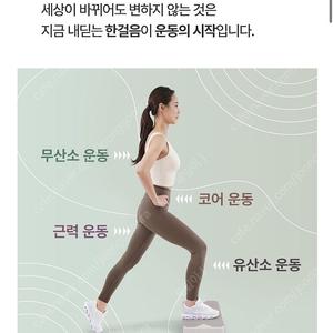 이고진 스텝박스 2단 스테퍼