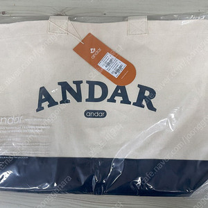 [가방] 안다르 ANDAR, 안다르 ANDAR, 시그니처 로고 캔버스 백 (아이보리)(새상품)