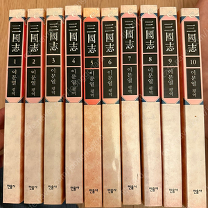 삼국지 이문열 10권