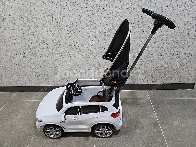 파파야나인 BMW X5 푸쉬카--2