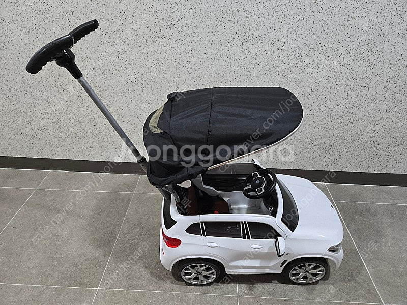 파파야나인 BMW X5 푸쉬카--5
