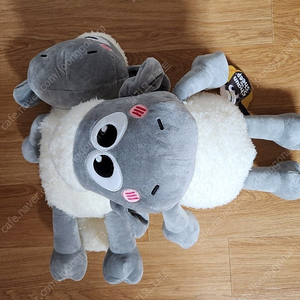 베이비숀 숀더쉽 그레이