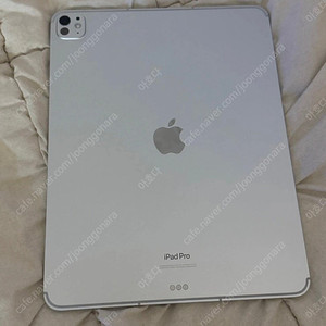 아이패드 프로 M4 13인치 셀룰러 256GB 실버