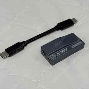 Roseselsa RS9039 (RZ-550) 꼬다리 DAC