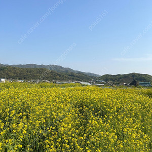 Cu5만원권 2장, gs25 상품권