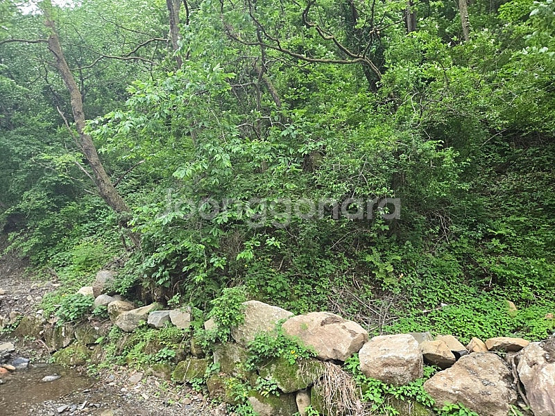 갤럭시워치 울트라 블랙->화이트 교환원합니다.--0