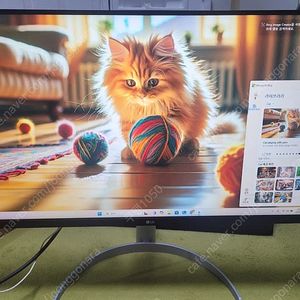 엘지 32인치 4k 모니터 32up550 24년판
