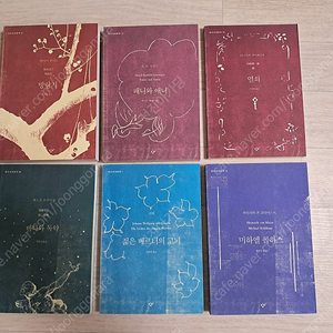 창비 세계문학 전집 6권