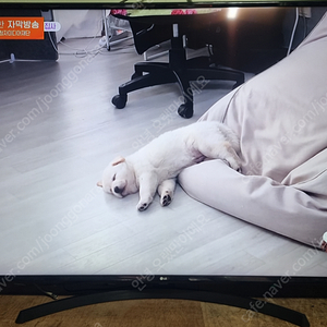 LG 65인치(65UK6800) 스마트 4K UHD LED TV